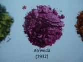 Sombra Afrodisíaca Atrevida